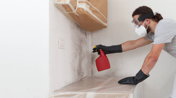Professional Mold Remediation technician working in Parksley, VA