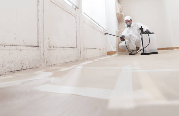 24/7 Emergency Mold Remediation experts in Parksley, VA